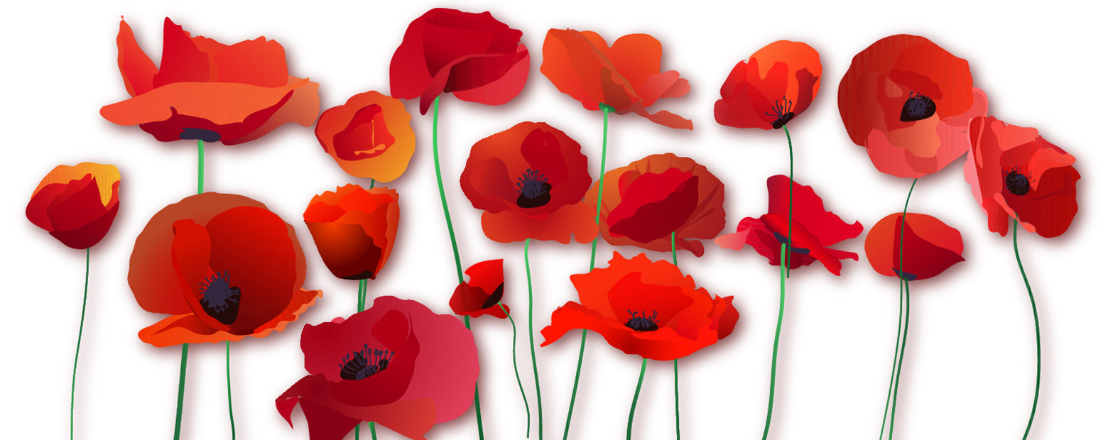 Anzac Day Activities